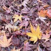 ヒメ日記 2025/12/05 22:13 投稿 蓮（れん） 池袋角海老