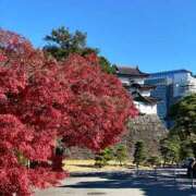 ヒメ日記 2025/12/16 17:43 投稿 蓮（れん） 池袋角海老