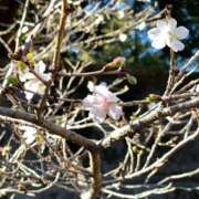 ヒメ日記 2025/12/17 21:33 投稿 蓮（れん） 池袋角海老