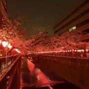 ヒメ日記 2026/03/31 17:03 投稿 蓮（れん） 池袋角海老