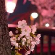 蓮（れん） 🪷 池袋角海老