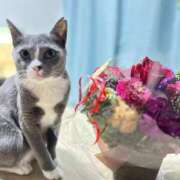 ヒメ日記 2024/12/19 22:17 投稿 のりか 人妻美人館