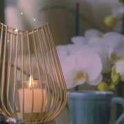 ヒメ日記 2025/03/11 23:11 投稿 のりか 人妻美人館