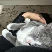 ヒメ日記 2025/03/29 08:54 投稿 のりか 人妻美人館