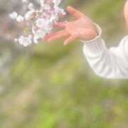 ヒメ日記 2025/04/01 12:12 投稿 のりか 人妻美人館