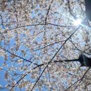 ヒメ日記 2025/04/07 01:13 投稿 のりか 人妻美人館