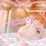 ヒメ日記 2025/04/09 12:53 投稿 のりか 人妻美人館