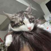 ヒメ日記 2025/04/10 19:35 投稿 のりか 人妻美人館