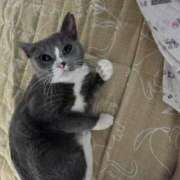 ヒメ日記 2025/04/11 08:22 投稿 のりか 人妻美人館