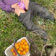 ヒメ日記 2025/04/13 10:17 投稿 のりか 人妻美人館