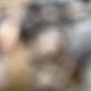 ヒメ日記 2025/04/14 06:52 投稿 のりか 人妻美人館