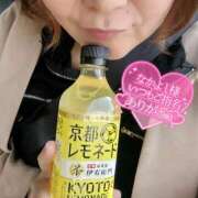 ヒメ日記 2025/04/14 16:07 投稿 のりか 人妻美人館