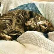 ヒメ日記 2025/04/17 17:20 投稿 のりか 人妻美人館