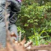 ヒメ日記 2025/04/21 07:39 投稿 のりか 人妻美人館