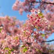 ヒメ日記 2025/04/28 23:15 投稿 のりか 人妻美人館