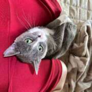 ヒメ日記 2025/05/01 07:18 投稿 のりか 人妻美人館