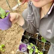 ヒメ日記 2025/05/05 15:54 投稿 のりか 人妻美人館