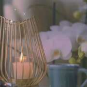 ヒメ日記 2025/05/10 23:16 投稿 のりか 人妻美人館