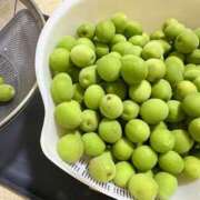 ヒメ日記 2025/05/19 19:41 投稿 のりか 人妻美人館