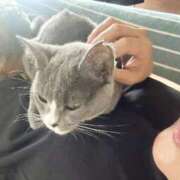 ヒメ日記 2025/05/28 12:36 投稿 のりか 人妻美人館