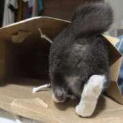 ヒメ日記 2025/06/12 17:50 投稿 のりか 人妻美人館