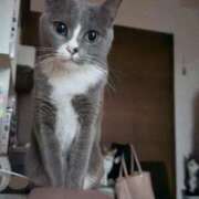 ヒメ日記 2025/06/17 07:38 投稿 のりか 人妻美人館