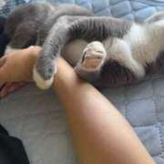 ヒメ日記 2025/06/19 11:14 投稿 のりか 人妻美人館