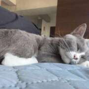 ヒメ日記 2025/06/28 11:46 投稿 のりか 人妻美人館