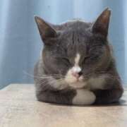 ヒメ日記 2025/07/09 08:26 投稿 のりか 人妻美人館