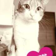 ヒメ日記 2025/07/13 08:27 投稿 のりか 人妻美人館