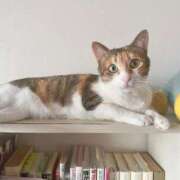 ヒメ日記 2025/07/18 06:09 投稿 のりか 人妻美人館