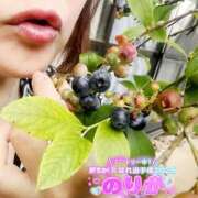 ヒメ日記 2025/08/03 10:14 投稿 のりか 人妻美人館