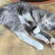 ヒメ日記 2025/08/10 06:49 投稿 のりか 人妻美人館