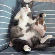 ヒメ日記 2025/08/11 16:11 投稿 のりか 人妻美人館