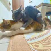 ヒメ日記 2025/08/13 20:57 投稿 のりか 人妻美人館