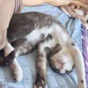 ヒメ日記 2025/08/14 11:11 投稿 のりか 人妻美人館