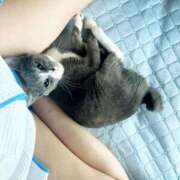 ヒメ日記 2025/08/25 07:39 投稿 のりか 人妻美人館