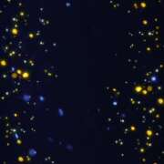 ヒメ日記 2025/08/27 05:51 投稿 のりか 人妻美人館