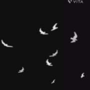 ヒメ日記 2025/09/01 07:11 投稿 のりか 人妻美人館