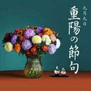 ヒメ日記 2025/09/09 12:10 投稿 のりか 人妻美人館