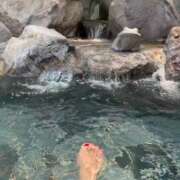 ヒメ日記 2025/10/02 12:12 投稿 のりか 人妻美人館