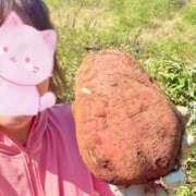 ヒメ日記 2025/10/12 18:18 投稿 のりか 人妻美人館