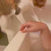 ヒメ日記 2025/10/14 12:14 投稿 のりか 人妻美人館