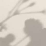 ヒメ日記 2025/10/28 18:46 投稿 のりか 人妻美人館