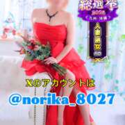 ヒメ日記 2025/11/11 15:09 投稿 のりか 人妻美人館