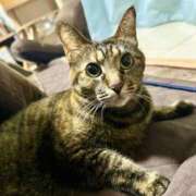 ヒメ日記 2025/11/30 21:12 投稿 のりか 人妻美人館