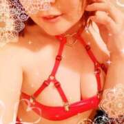 ヒメ日記 2025/12/03 10:28 投稿 のりか 人妻美人館