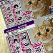 ヒメ日記 2025/12/16 19:12 投稿 のりか 人妻美人館