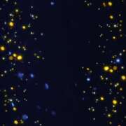 ヒメ日記 2026/01/22 22:13 投稿 のりか 人妻美人館