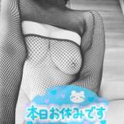 ヒメ日記 2026/01/27 06:46 投稿 のりか 人妻美人館